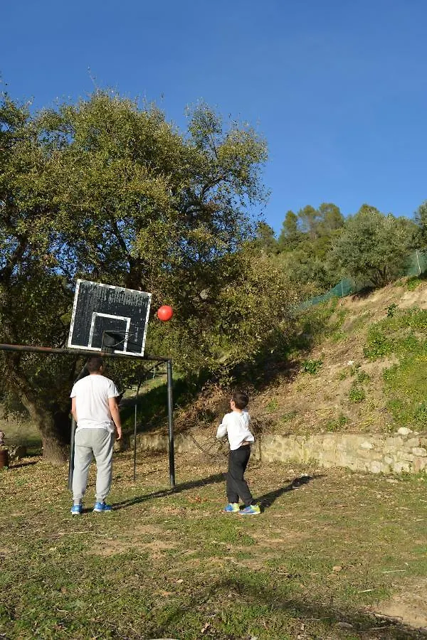 Las Cuevas De El Bosque